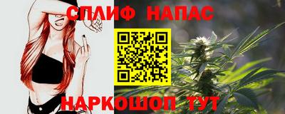 СК Сланцы
