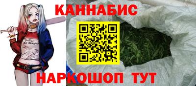 СК Сланцы