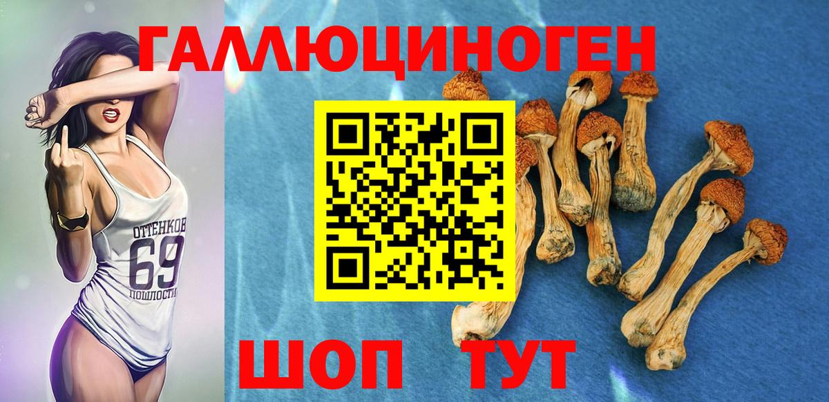 Псилоцибиновые грибы мухоморы  Вход с VPN  продажа наркотиков  Похвистнево  Псилоцибиновые грибы Psilocybe 