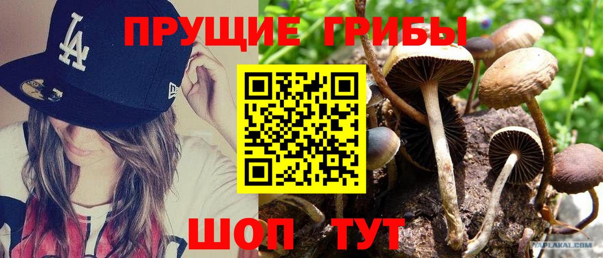 Галлюциногенные грибы ЛСД Похвистнево